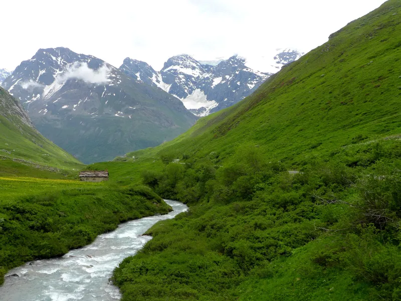 Alpenweiden bij Bonneval-sur-Arc