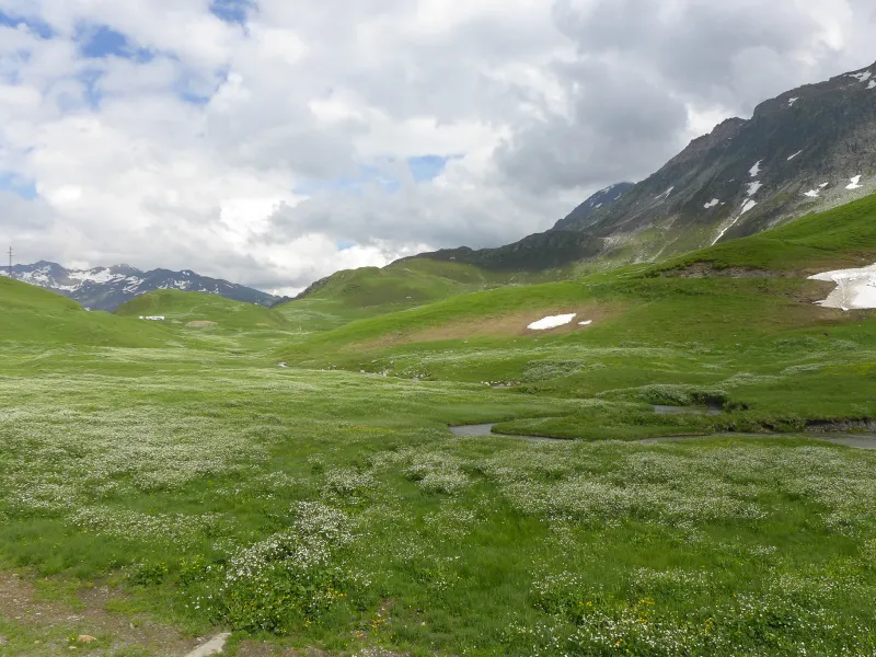 Alpenweiden van Beaufortain