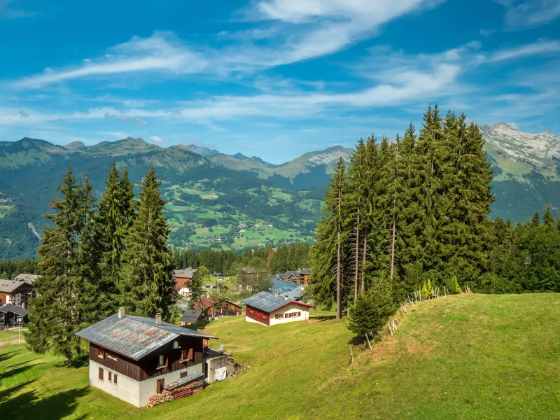 Chalets in Morillon Les Esserts