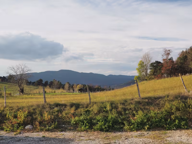 Velden en hekken typisch voor de Vercors