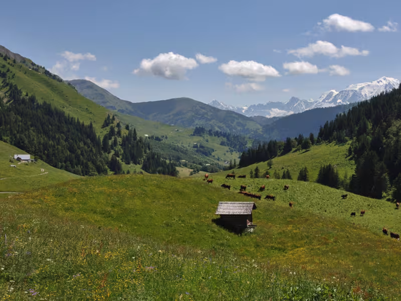 Aravis pas
