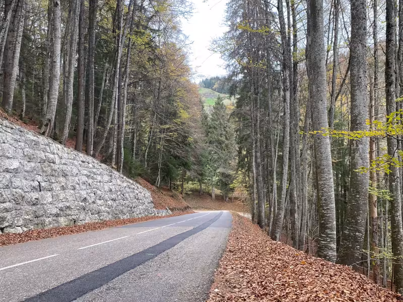 Afdaling van Col du Feu naar Lullin