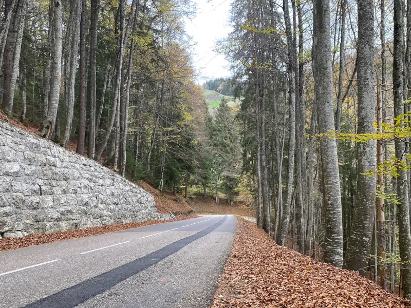 Afdaling van Col du Feu naar Lullin
