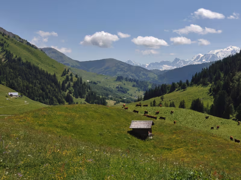 Afdaling naar de Val d'Arly vanaf de Col des Aravis