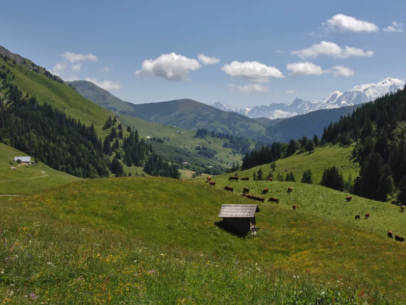 Afdaling naar de Val d'Arly vanaf de Col des Aravis