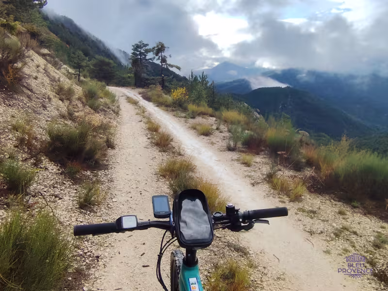 Tussen Haute-Provence en Verdon