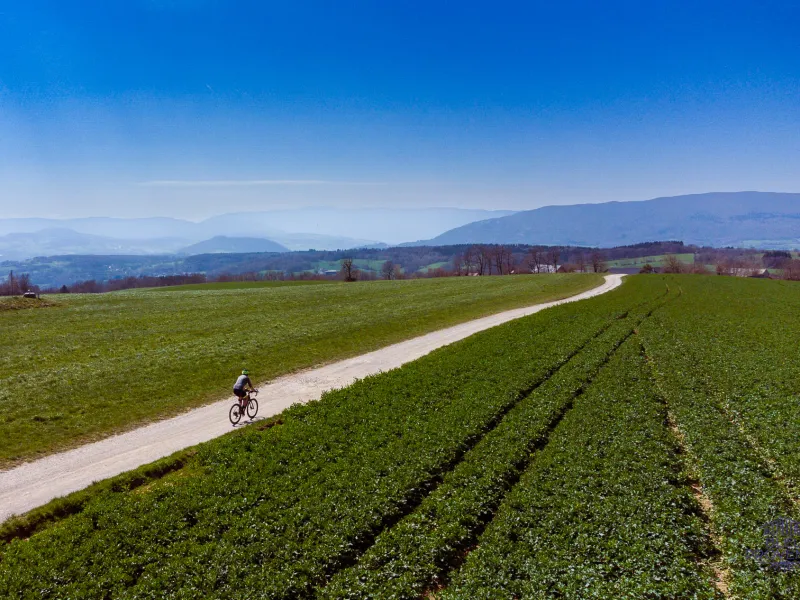 Richting het zuiden over de Mont Sion grindpaden