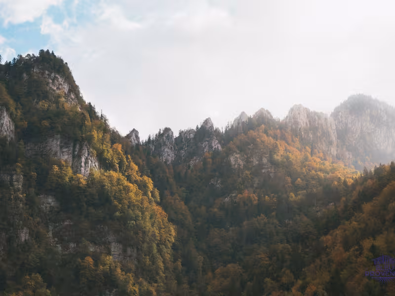 Herfst in de Chartreuse