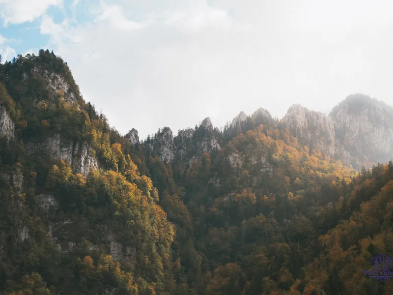 Herfst in de Chartreuse