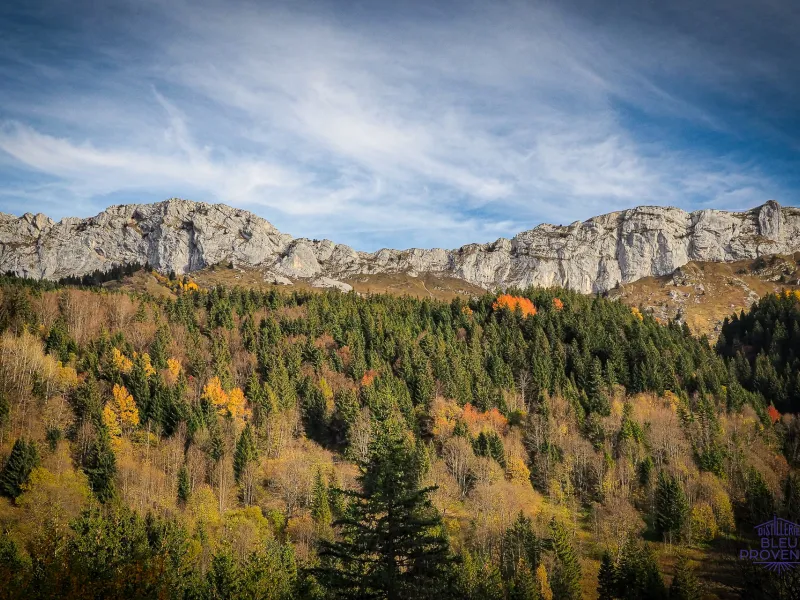 Herfstsfeer rond Villard-de-Lans