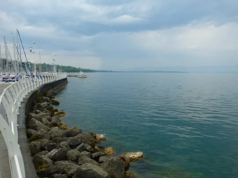 Meer Leman