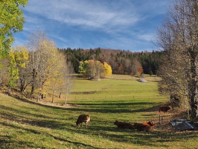 Landschap van de Vercors 4 Bergen rond Villard-de-Lans