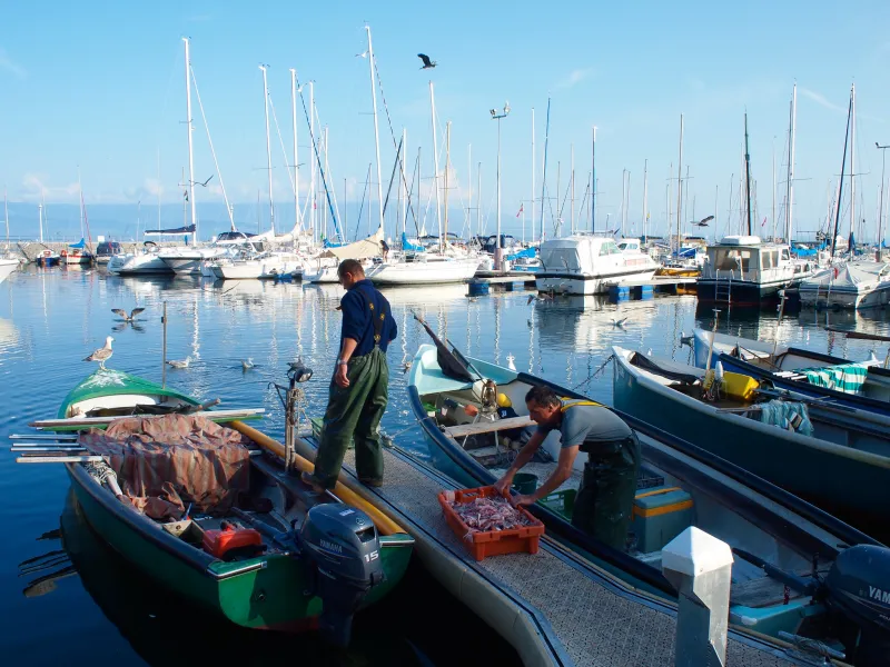 Vissen op het meer van Genève