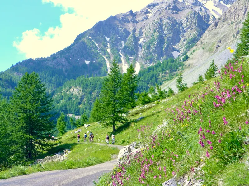 Alpengazons en lariksen begeleiden fietsers