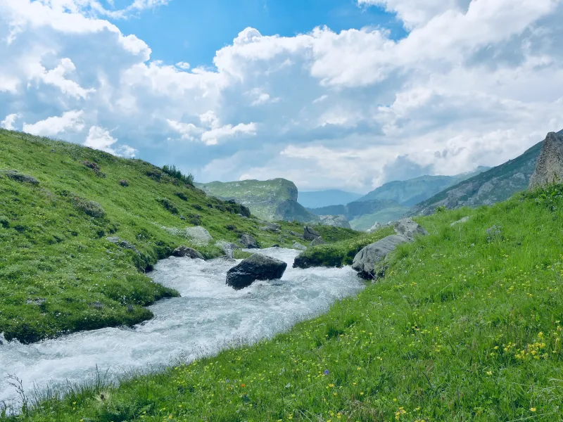 Beek en bergweiden van Cormet de Roselend