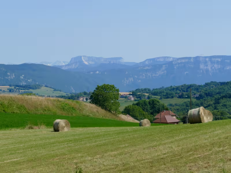 Uitzicht op de Chartreuse vanaf het Savoyaardse voorland