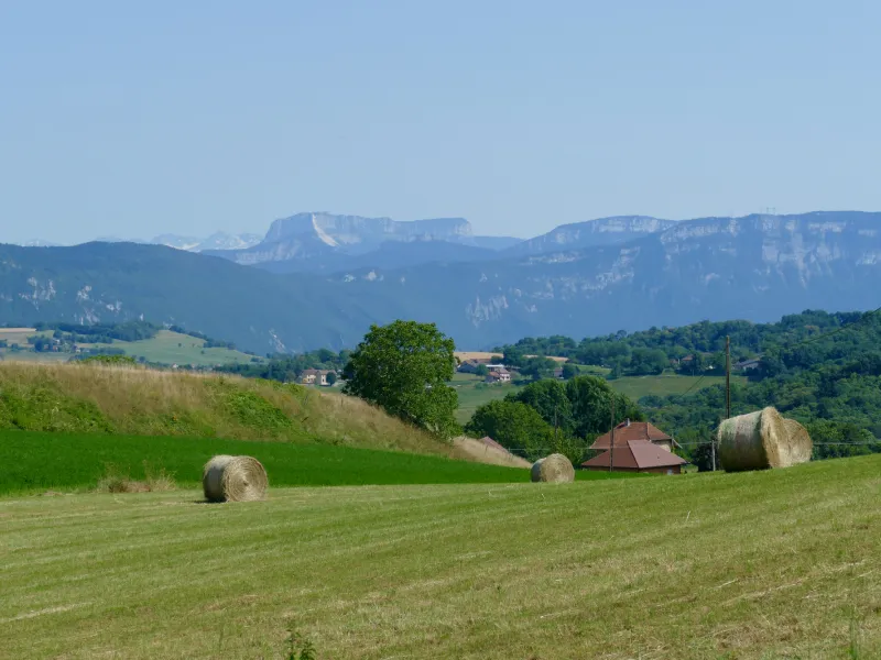 Uitzicht op de Chartreuse vanaf het Savoyaardse voorland