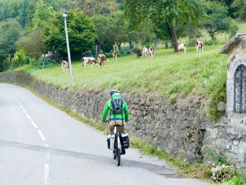 Fietsen in de sfeer van een alpenweide met koeien op de wegen van de Chablais