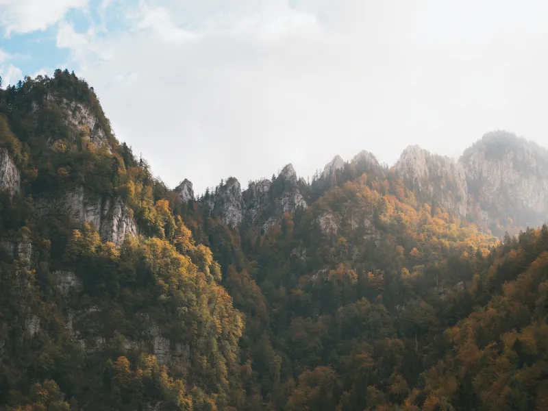 Herfst in de Chartreuse