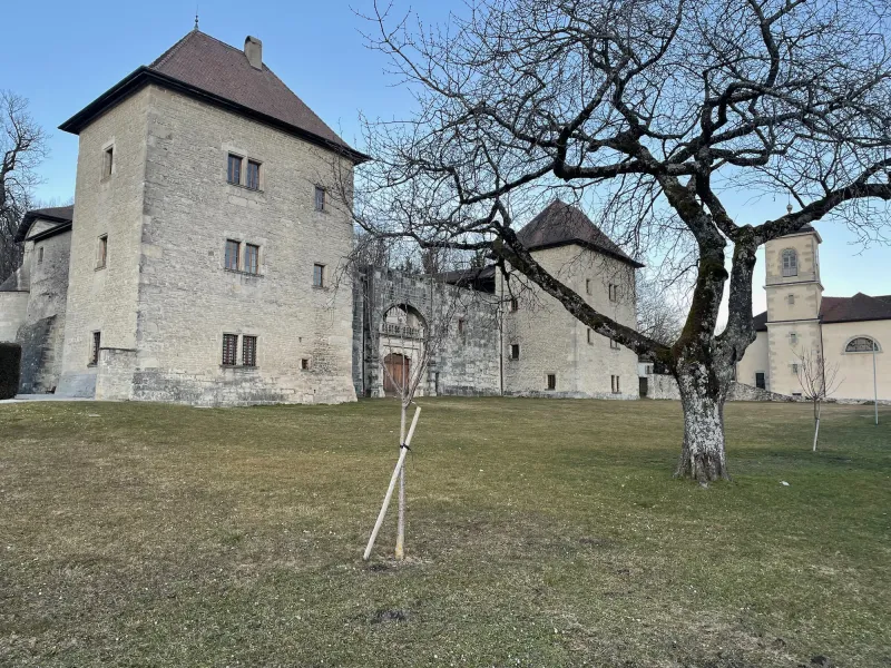 Kasteel van Clermont, een must-see in de regio Albanais