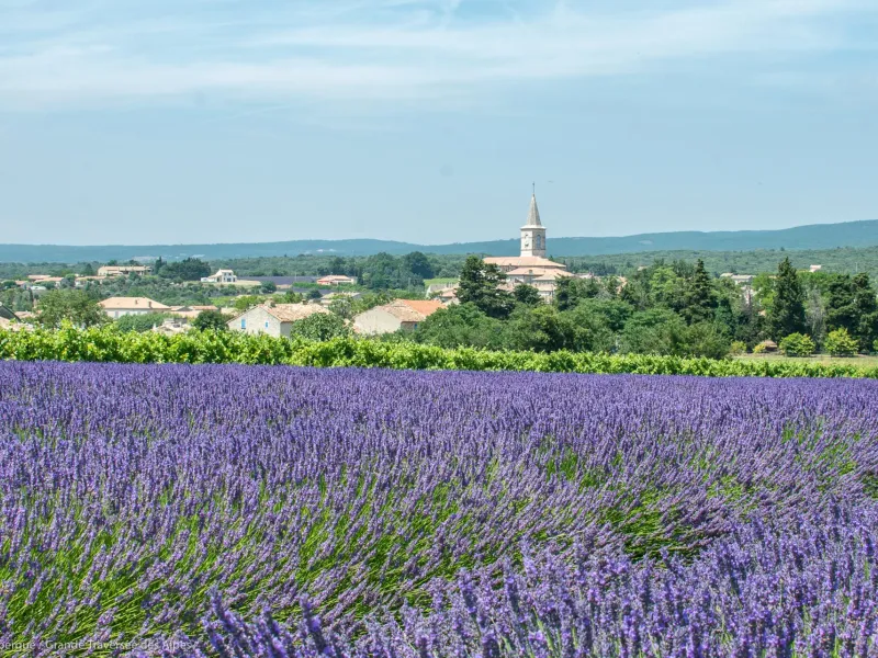 Routes de la lavande à vélo