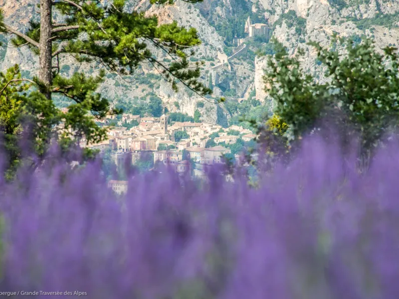 Routes de la lavande à vélo