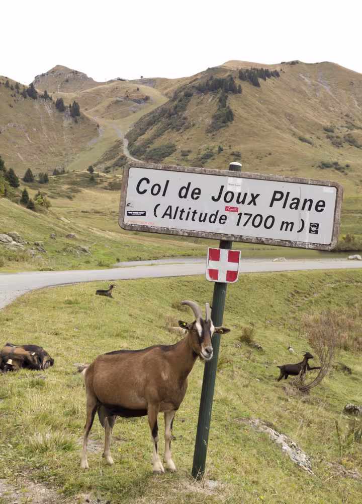 paneel col de joux vliegtuig
