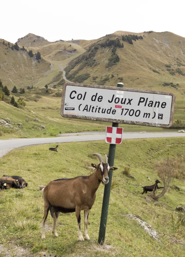 paneel col de joux vliegtuig