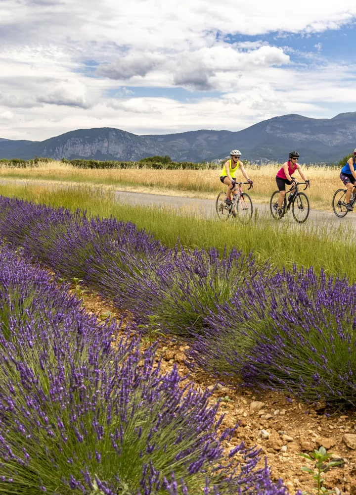 vélo route haute provence