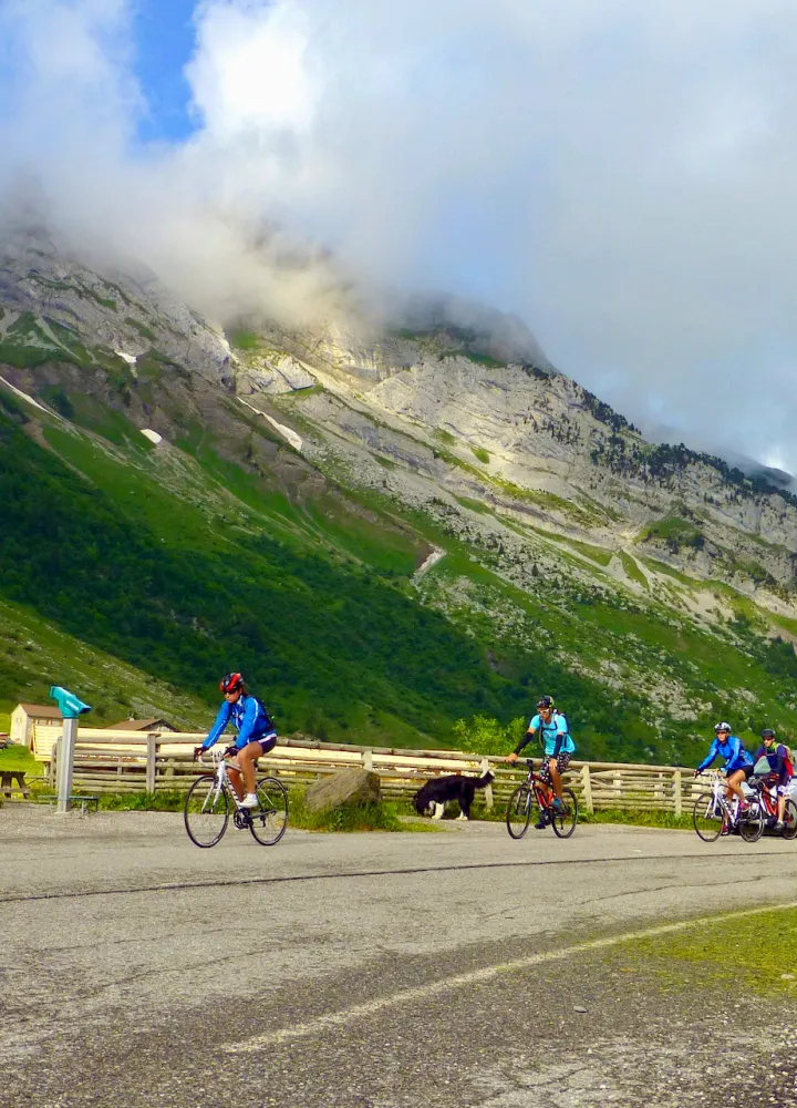 De Aravis pas oversteken