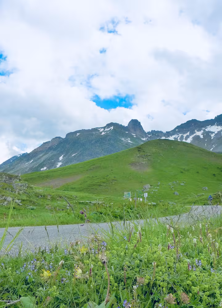 De groene top van Cormet de Roselend
