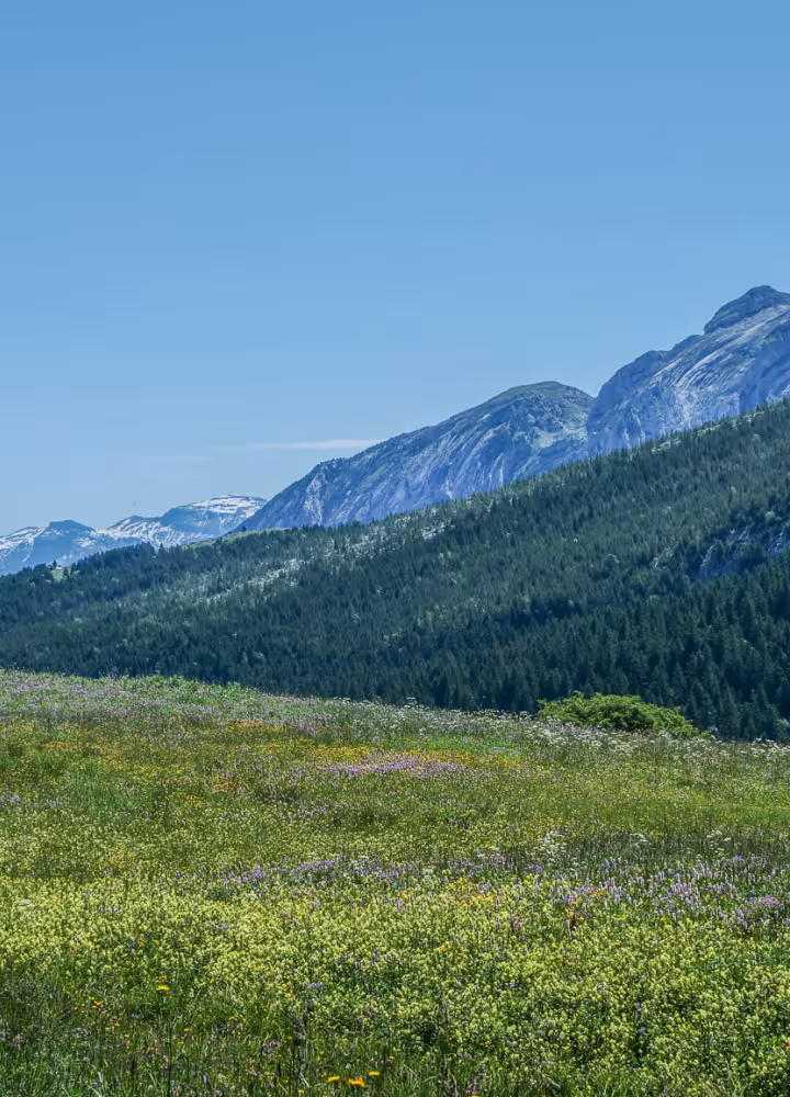 panneau arrivée plateau de solaison 