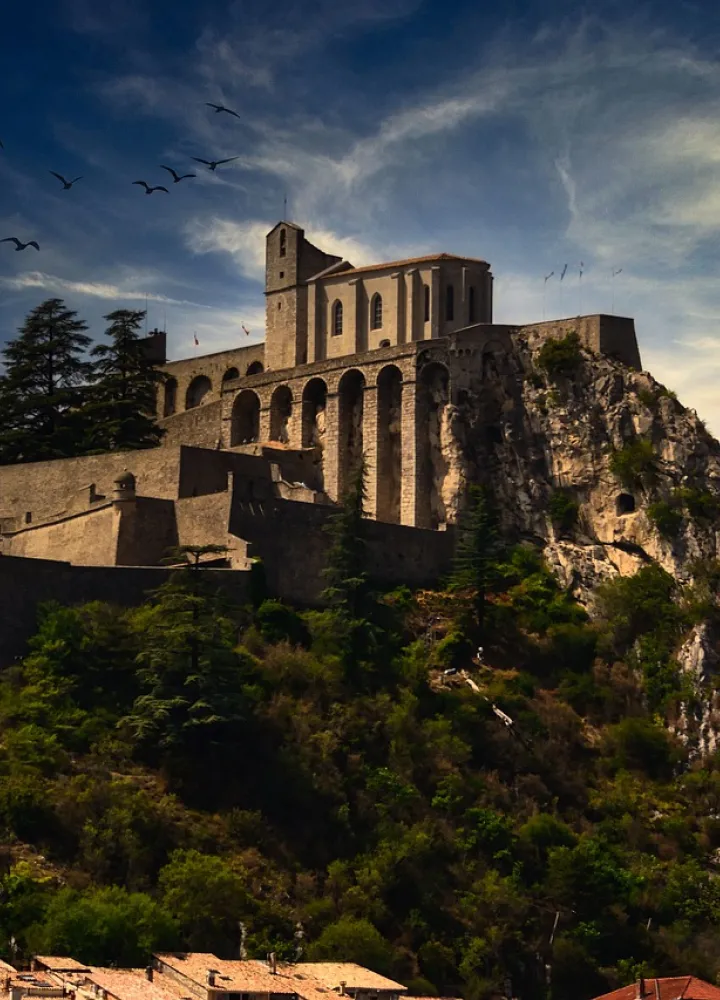 citadel zuson