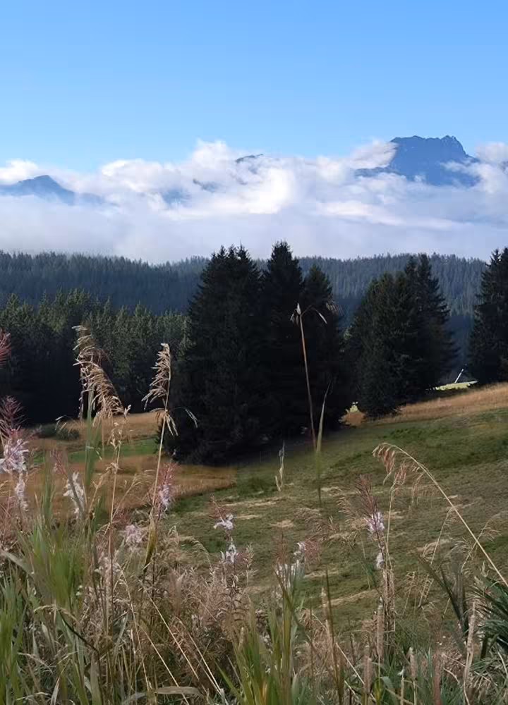 Les Saisies route des grandes alpes