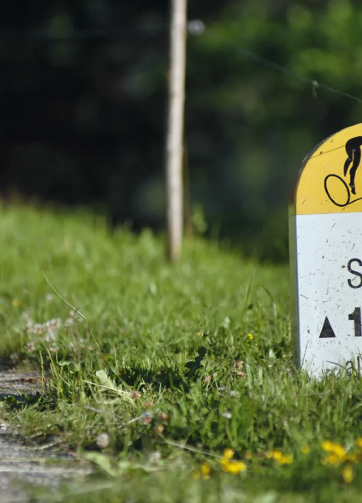 Beklimming van de Col des Saisies vanuit de Val d'Arly