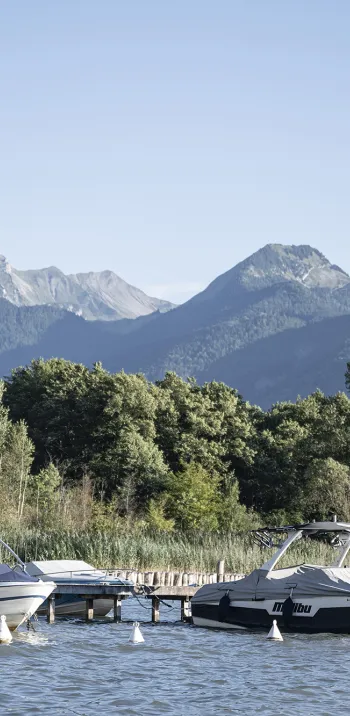De bronnen van het meer van Annecy - 1
