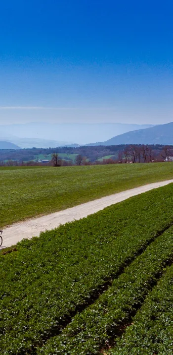 Richting het zuiden over de Mont Sion grindpaden