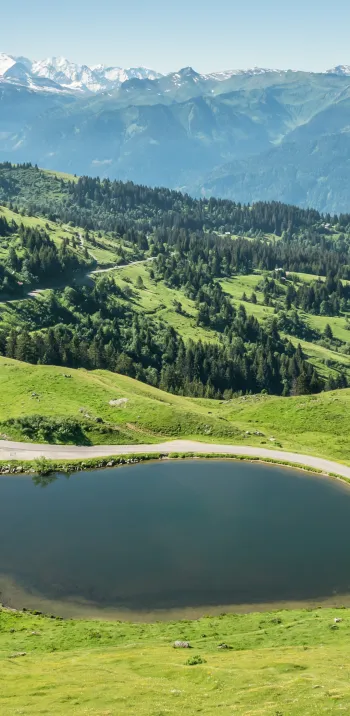 Lac_de_Joux_vlakte_10.jpg