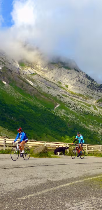 De Aravis pas oversteken