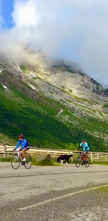 De Aravis pas oversteken