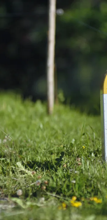 Beklimming van de Col des Saisies vanuit de Val d'Arly