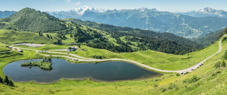 Lac_de_Joux_vlakte_10.jpg