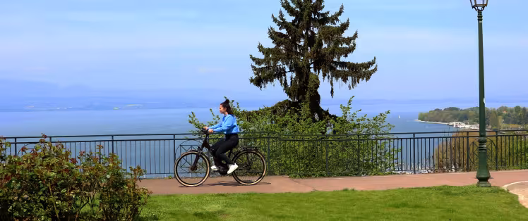 fietsbanner.jpg