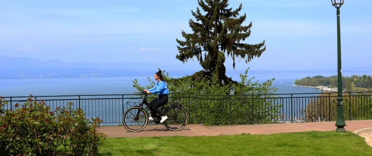 fietsbanner.jpg