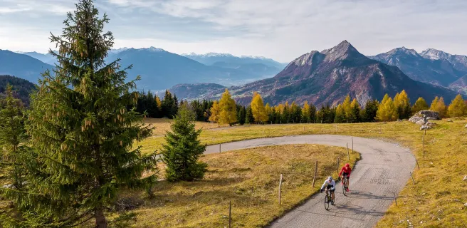 CYCLOSPORTIFS_COL ARPETTE