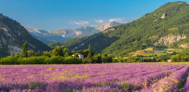 Herbouilly / Sterven