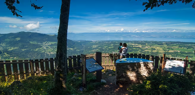 Panaroma depuis le belvédère de Tréchauffé (La Forclaz)