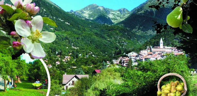 Camping à la Ferme Saint-Joseph