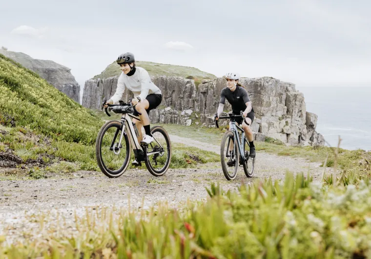 grind bosch ebike