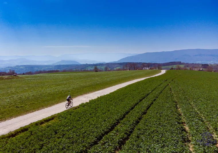 Richting het zuiden over de Mont Sion grindpaden